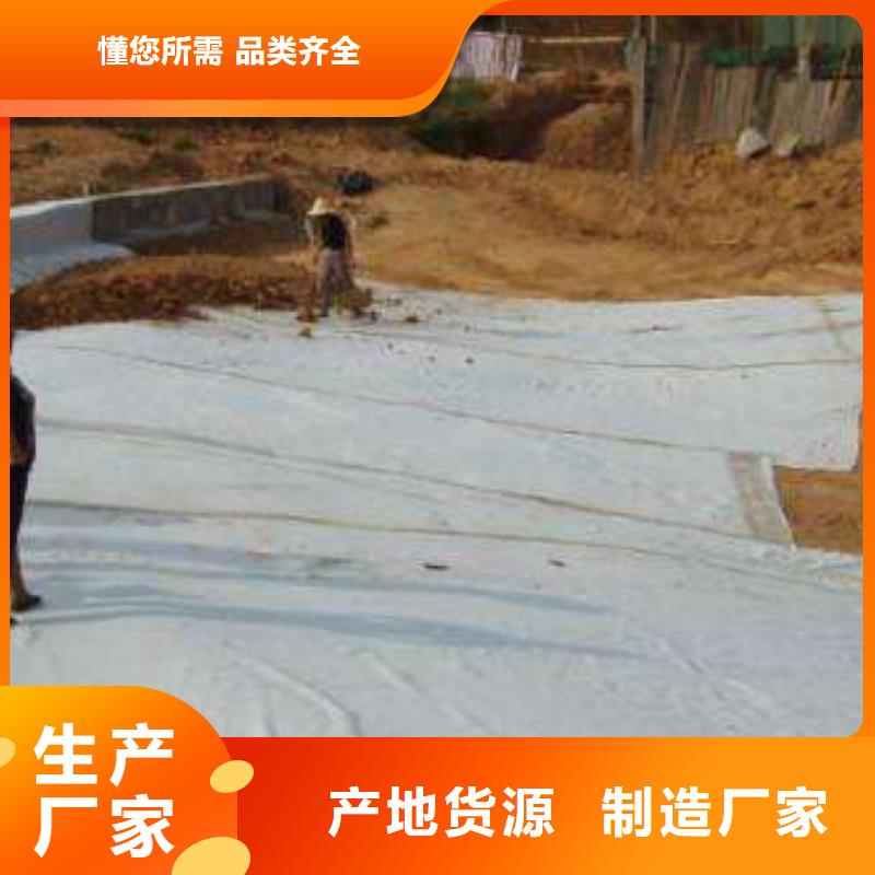 膨润土防水毯_城建土工膜厂家货源稳定
