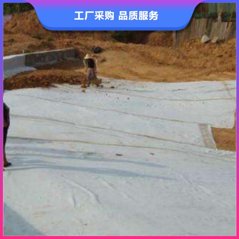 膨润土防水毯涤纶土工格栅好货采购