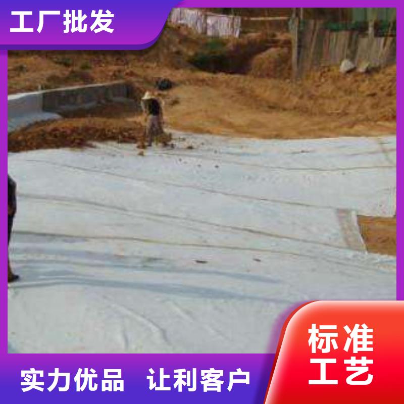 恒丰优选:实力商家供货稳定【膨润土防水毯】-双向拉伸塑料格栅实体厂家支持定制