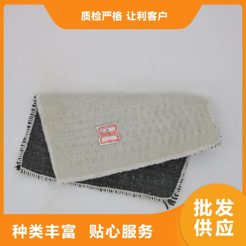 膨润土防水毯涤纶土工格栅好货采购