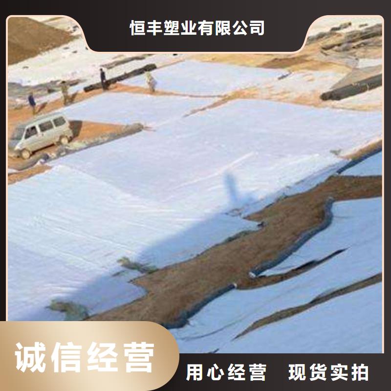 膨润土防水毯_城建土工膜厂家货源稳定