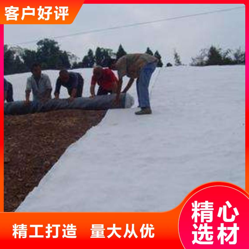 膨润土防水毯土工滤网源头厂家经验丰富