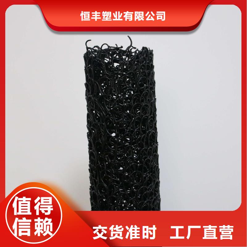恒丰为您精心挑选【塑料盲沟】三维复合排水网规格齐全多少钱联系方式