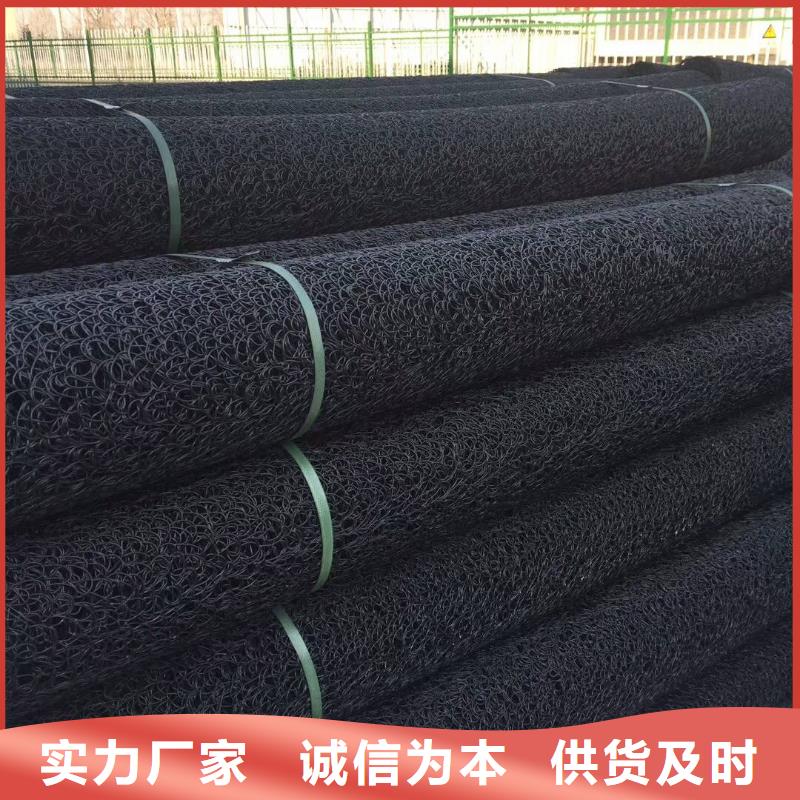 【塑料盲沟】三维复合排水网规格齐全恒丰土工格室