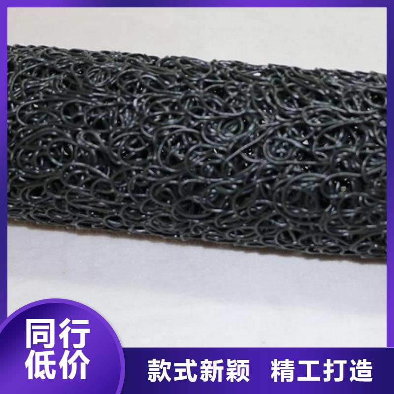 【塑料盲沟】 PP焊接土工格栅我们更专业-市场覆盖|潞城|襄垣|晋中|吕梁|阳泉|晋城|太原-二八商务