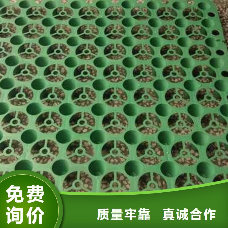排水板_涤纶土工格栅根据要求定制