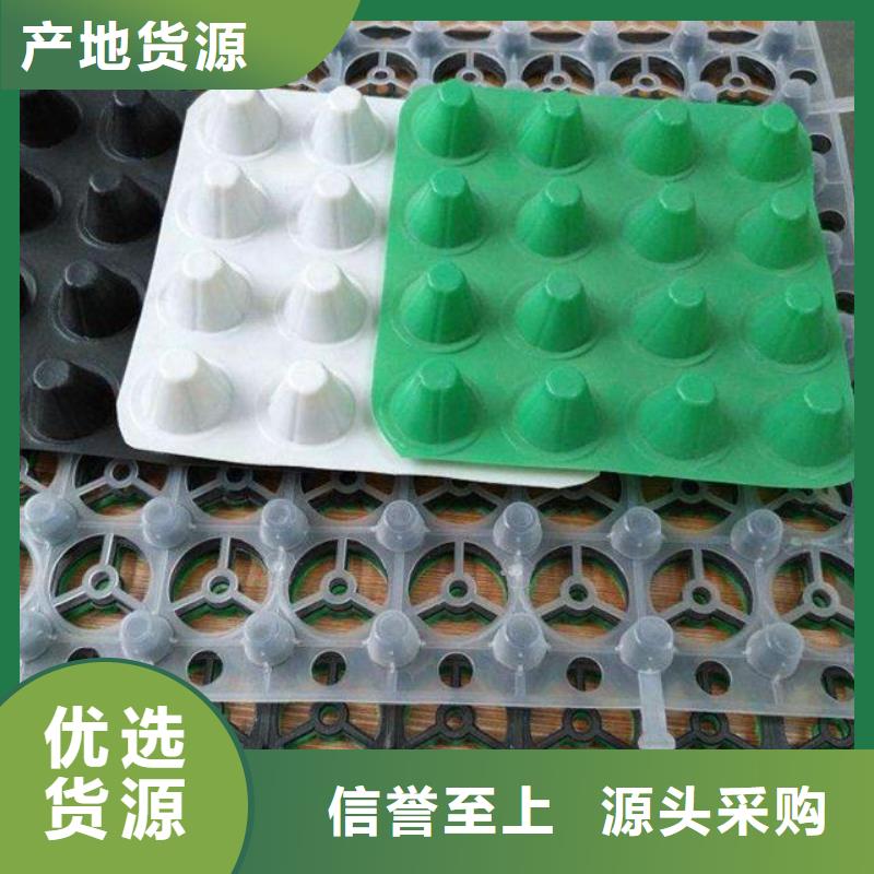排水板-土工滤网选择大厂家省事省心