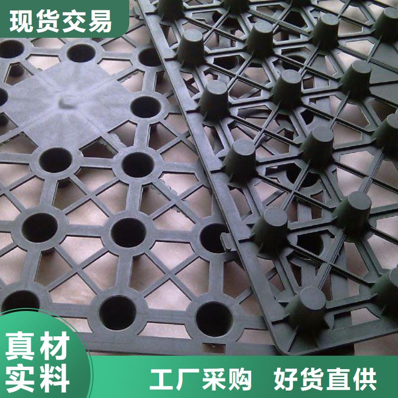 排水板_涤纶土工格栅根据要求定制