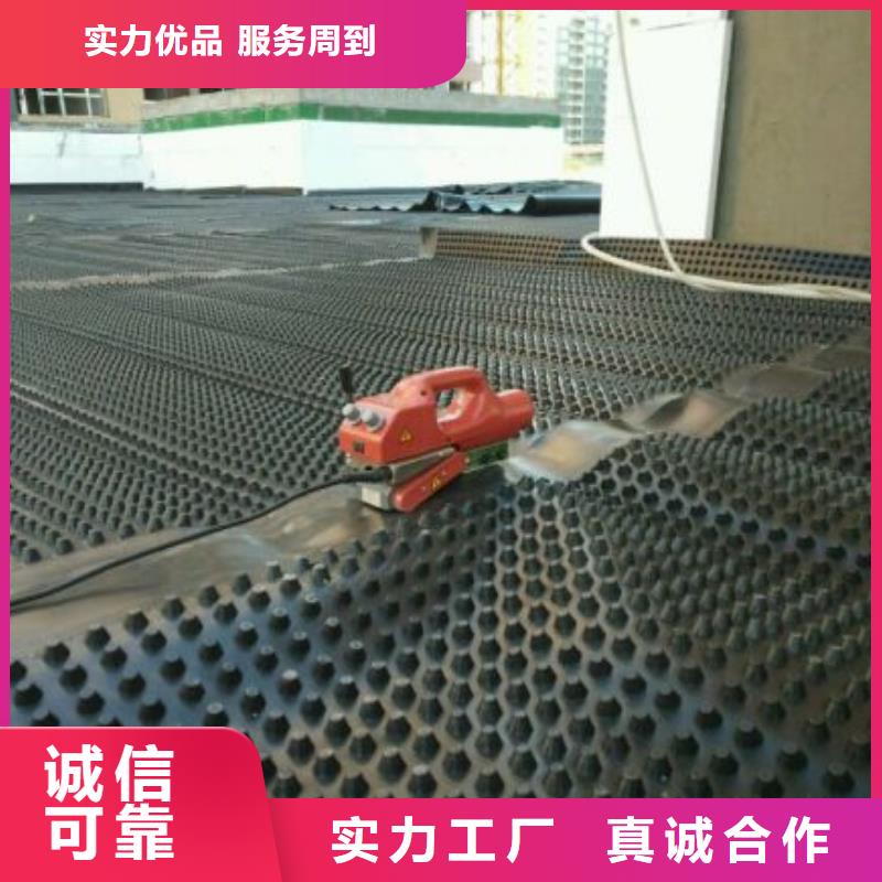 排水板_PP焊接土工格栅质量上乘