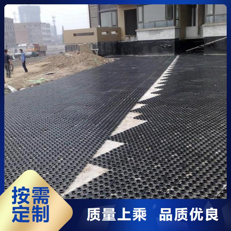 排水板_涤纶土工格栅根据要求定制