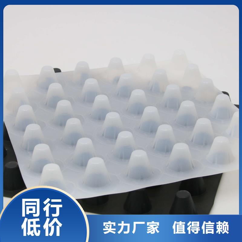 排水板-土工滤网选择大厂家省事省心