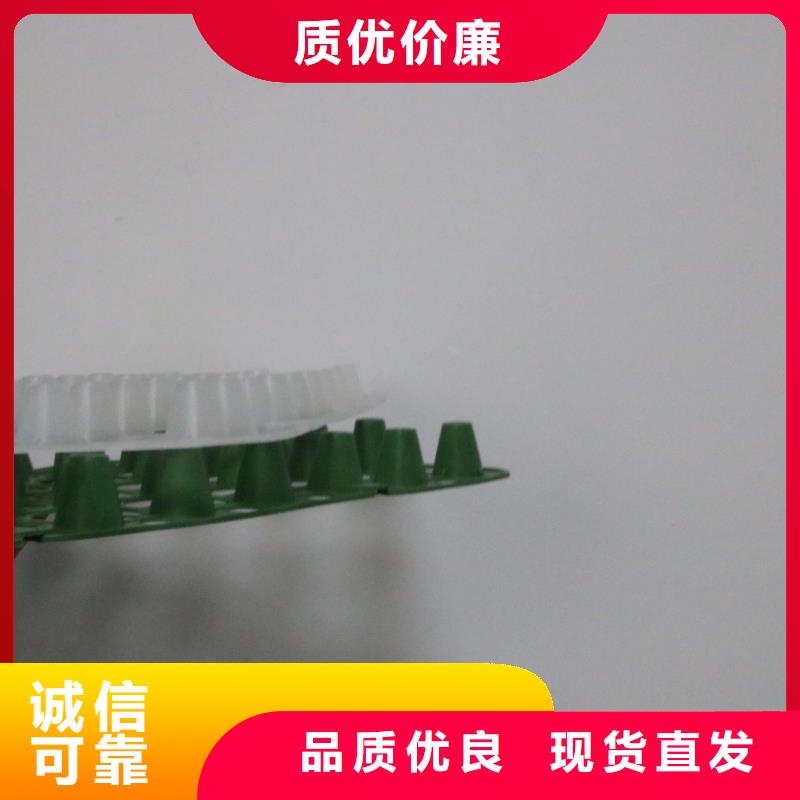 排水板_PP焊接土工格栅质量上乘