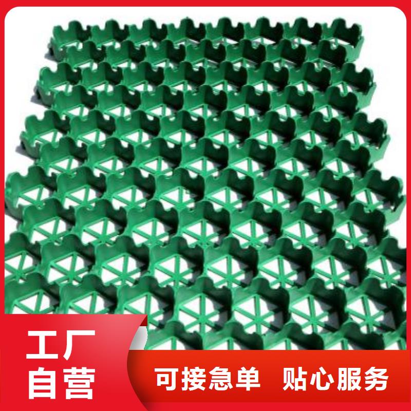 植草格蜂巢格室信誉至上