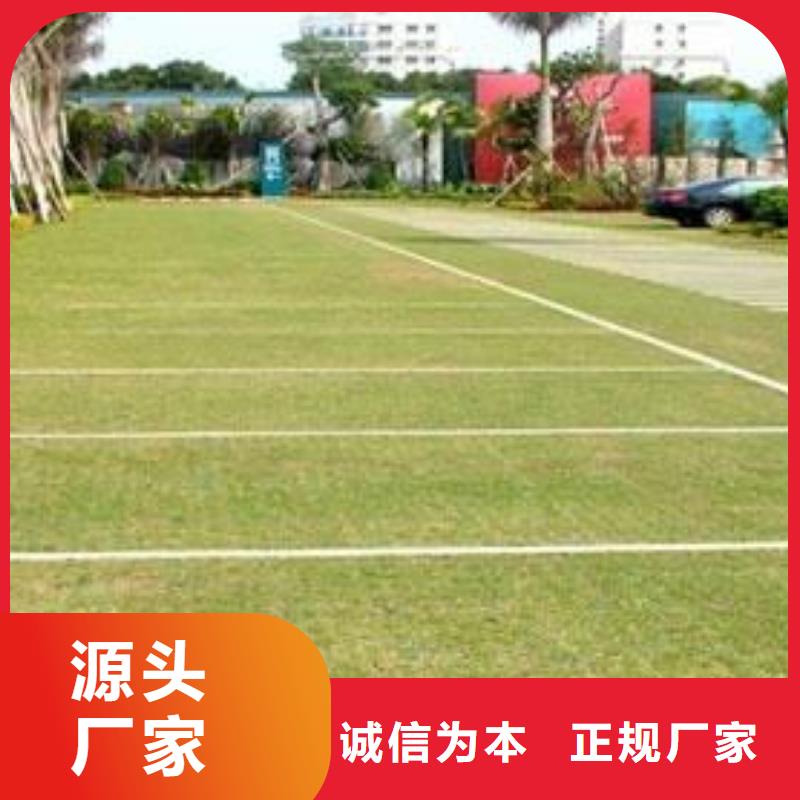 植草格软式透水管厂家案例