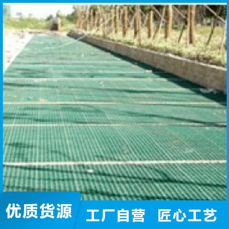 品质信得过 植草格-【HDPE土工膜】现货直供-本地快捷的物流配送_产品案例