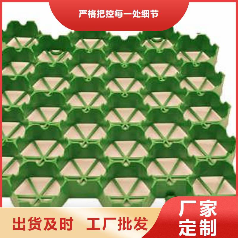 植草格_土工滤网实力才是硬道理