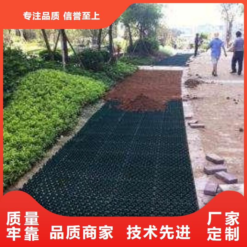 植草格_土工滤网实力才是硬道理
