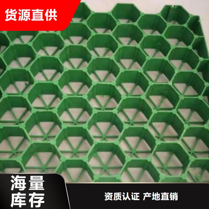 品质信得过 植草格-【HDPE土工膜】现货直供-本地快捷的物流配送_产品案例