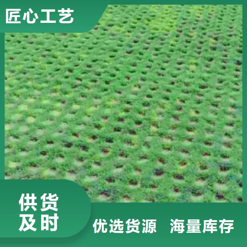 植草格_【双向拉伸塑料格栅】精选货源覆盖范围含|海口