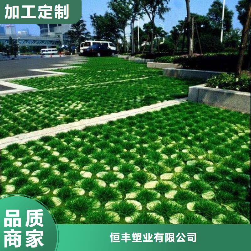 恒丰植草格-【HDPE土工膜】现货直供-业务覆盖区域|临翔|云县|楚雄|迪庆|怒江|昭通|普洱|玉溪|昆明-二八商务