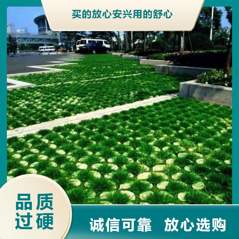 欢迎来电询价 植草格_【膨润土防水毯】定制定做