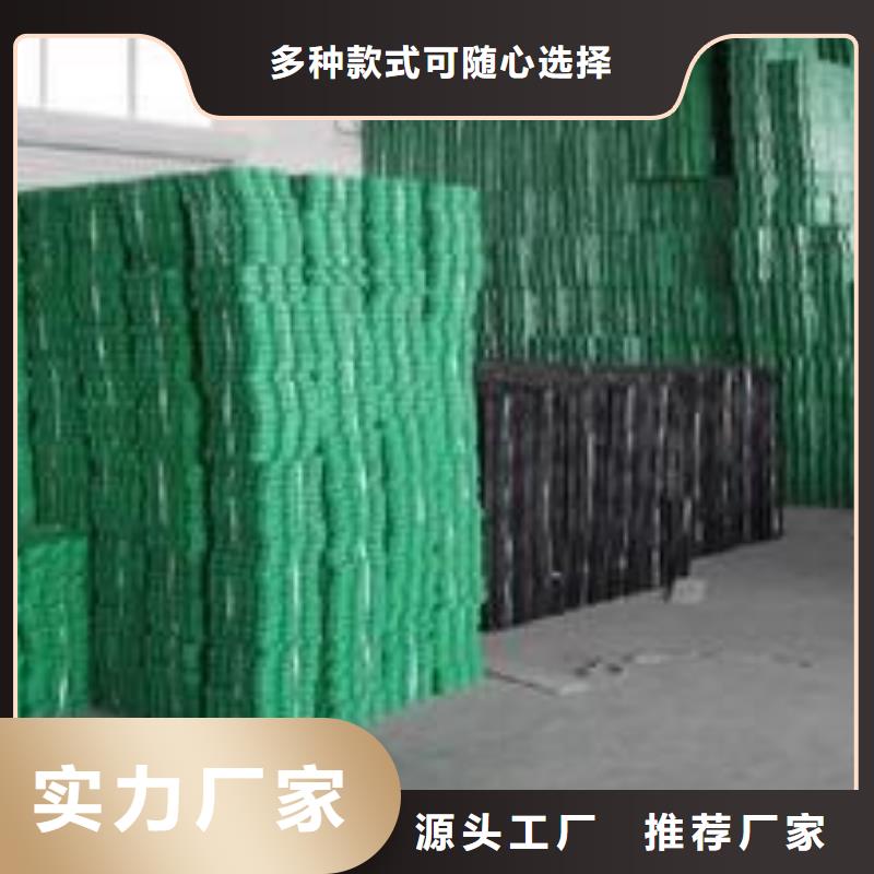 欢迎来电询价 植草格_【膨润土防水毯】定制定做