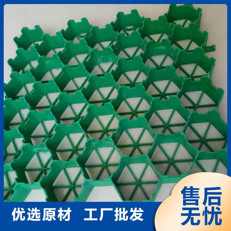 欢迎来电询价 植草格_【膨润土防水毯】定制定做