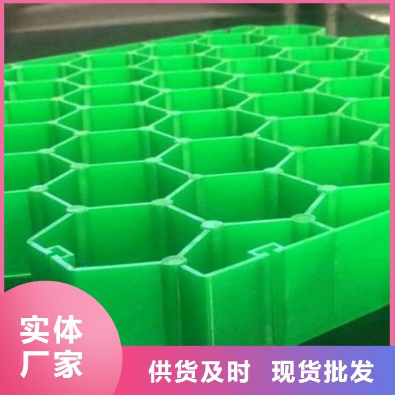 植草格_土工滤网实力才是硬道理