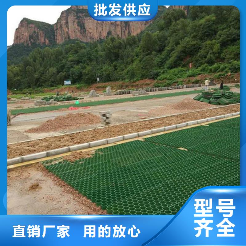 植草格蜂巢格室信誉至上