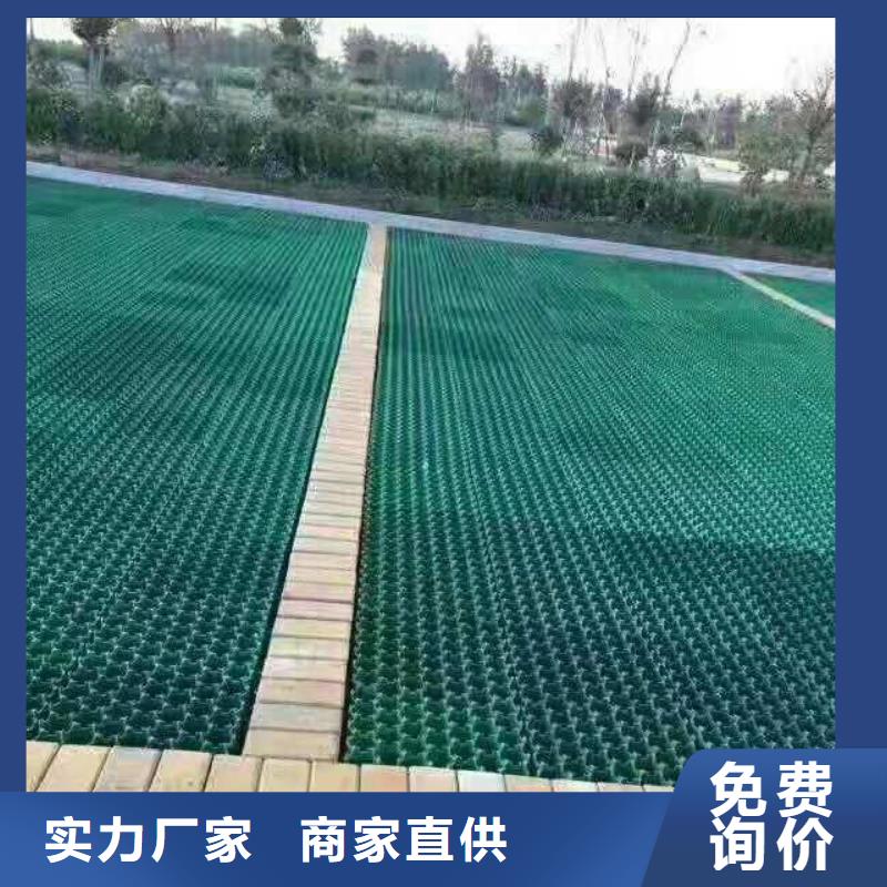 植草格_【膨润土防水毯】定制定做标准工艺