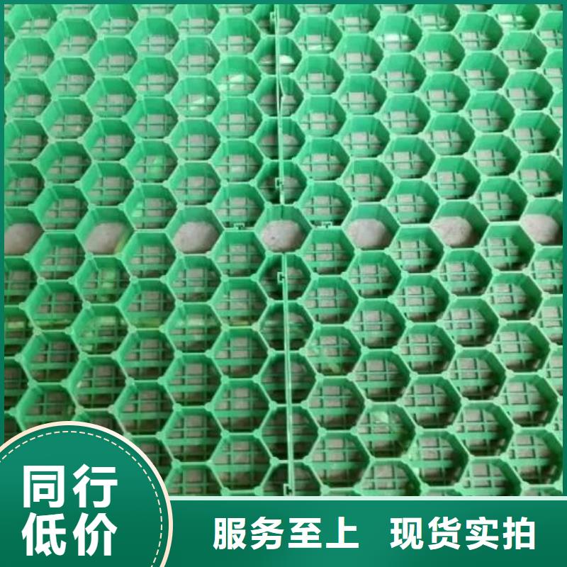 植草格软式透水管厂家案例