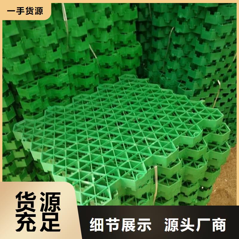 恒丰植草格-【HDPE土工膜】现货直供-业务覆盖区域|临翔|云县|楚雄|迪庆|怒江|昭通|普洱|玉溪|昆明-二八商务