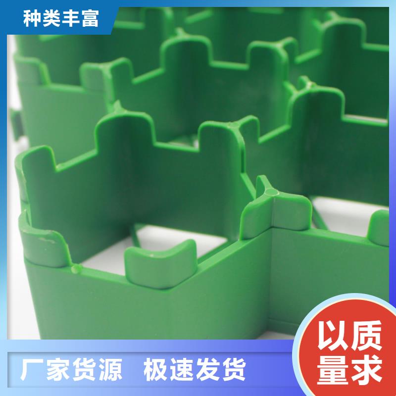 品质信得过 植草格-【HDPE土工膜】现货直供-本地快捷的物流配送_产品案例