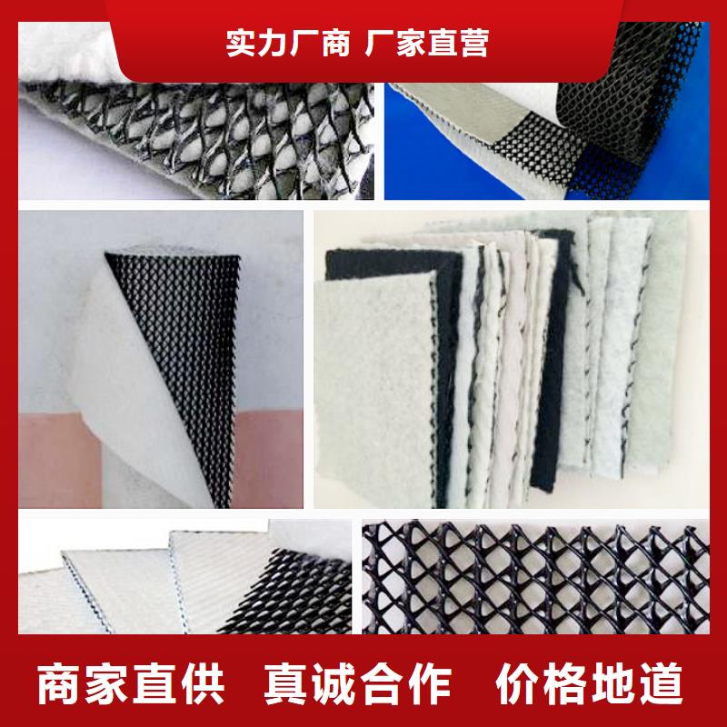 【三维复合排水网选择我们选择放心】