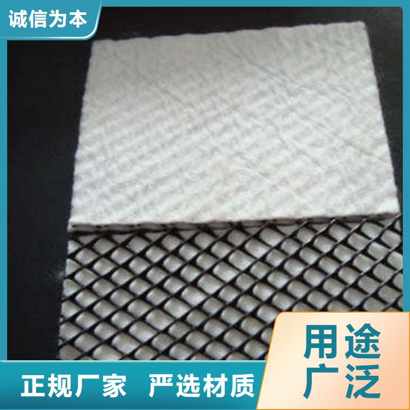 匠心品质 三维复合排水网【软式透水管】工程施工案例-本地品牌