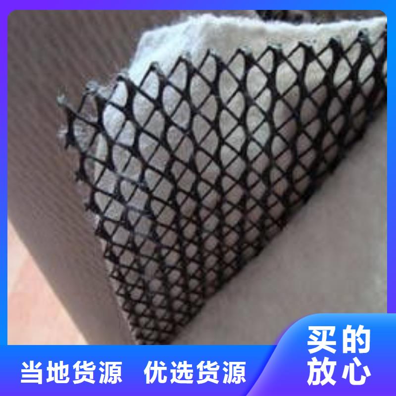 【三维复合排水网】【三维土工网垫】实力雄厚品质保障