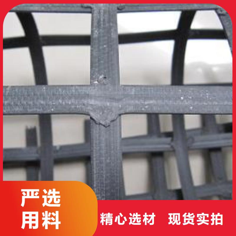 钢塑土工格栅护坡土工网现货直发