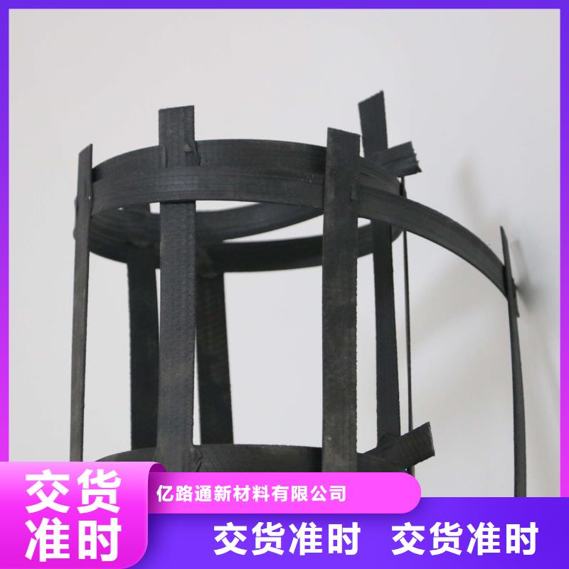 【 钢塑土工格栅_三维土工网垫正规厂家】