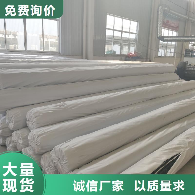 钢塑土工格栅护坡土工网现货直发