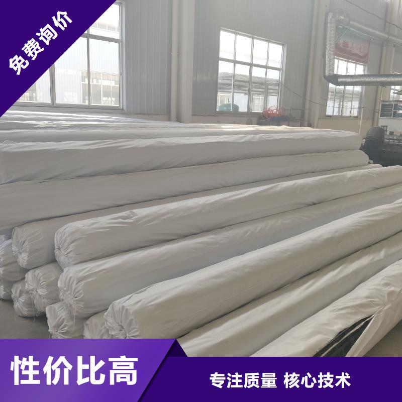 【 钢塑土工格栅_三维土工网垫正规厂家】