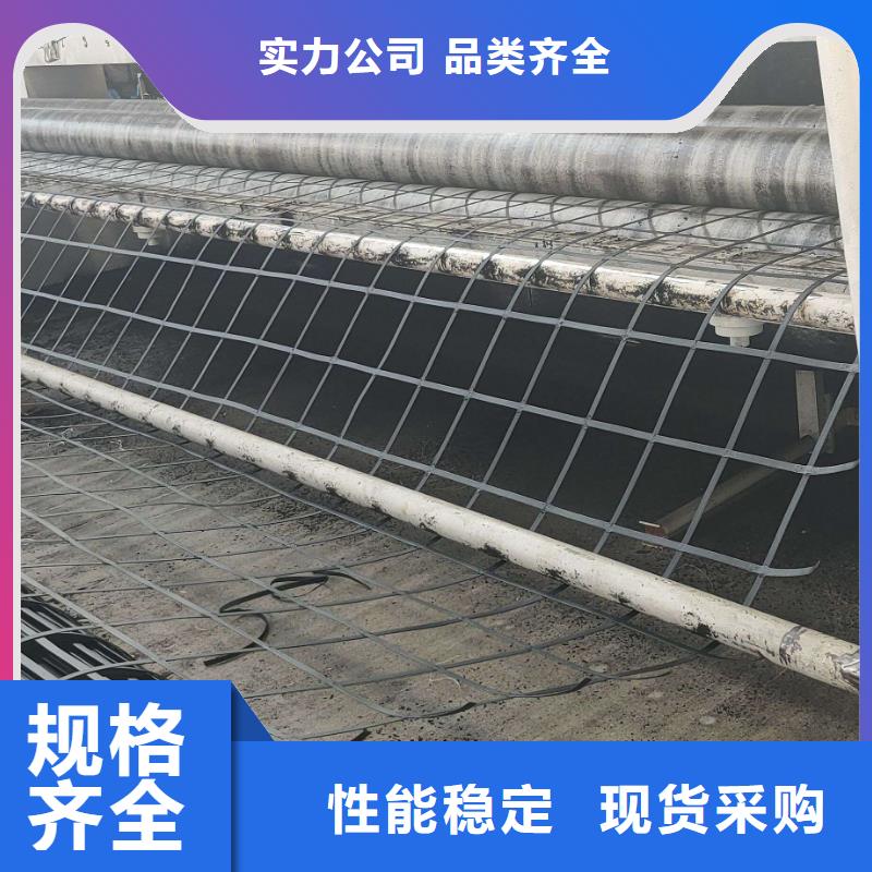 钢塑土工格栅护坡土工网现货直发