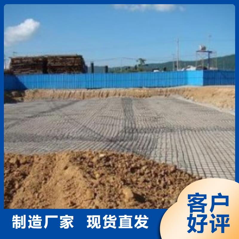 【 钢塑土工格栅_三维土工网垫正规厂家】