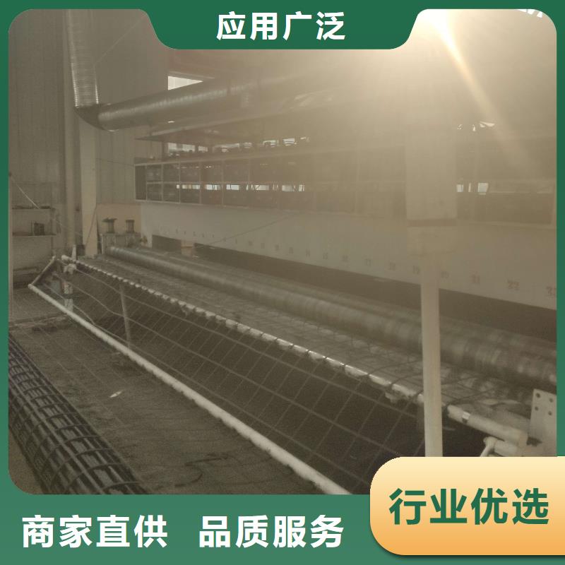 【 钢塑土工格栅 膨润土防水毯规格齐全实力厂家】|东营|滨州|枣庄|莱芜28354.com