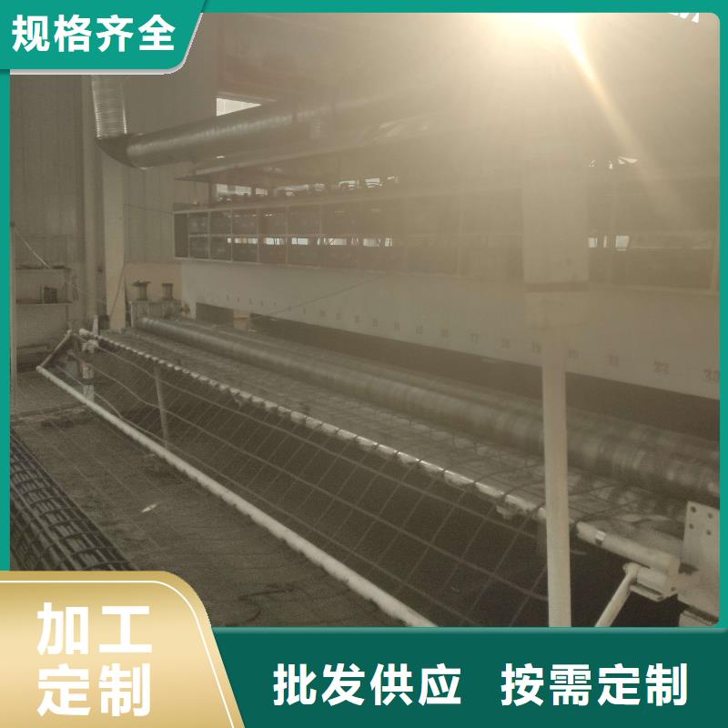 【 钢塑土工格栅_三维土工网垫正规厂家】