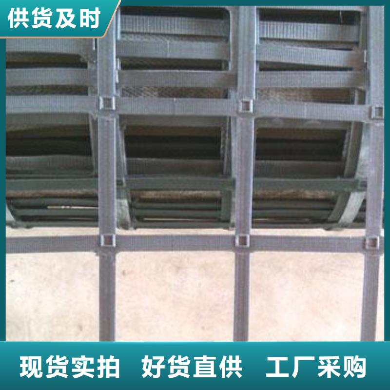 【钢塑土工格栅专业生产厂家】