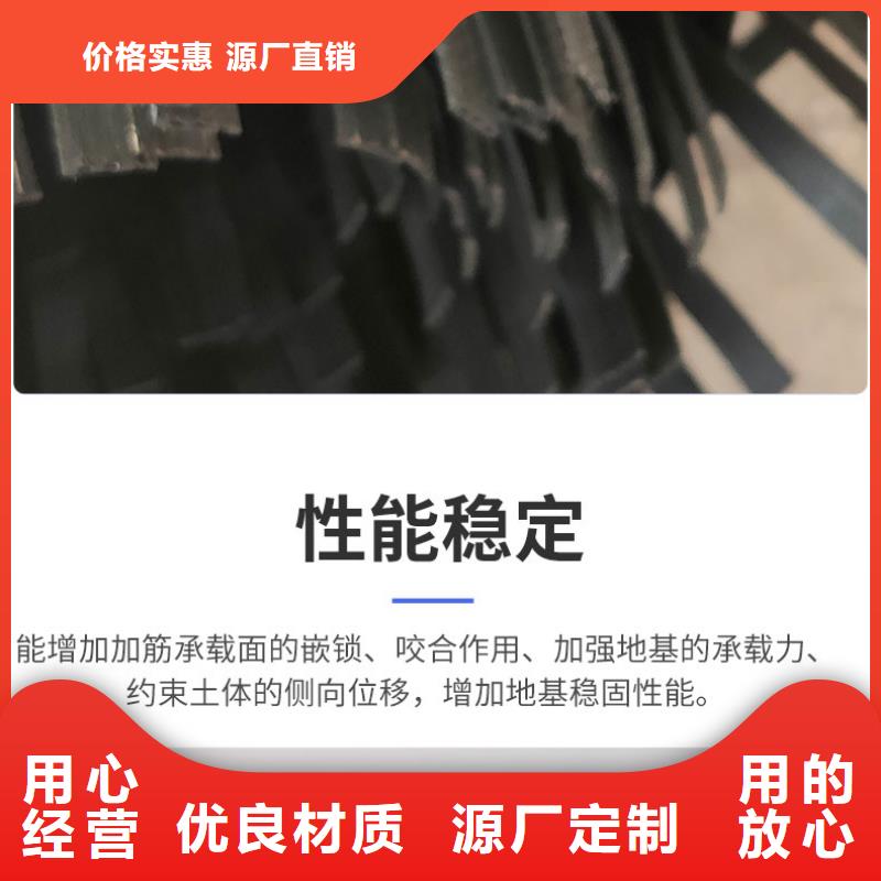 钢塑土工格栅护坡土工网现货直发