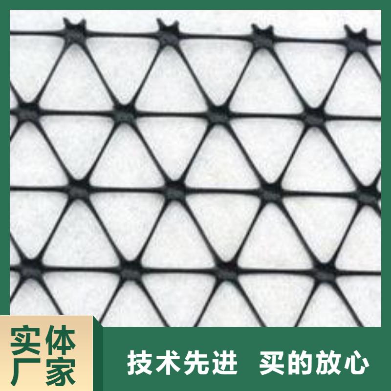 塑料土工格栅复合土工膜现货销售