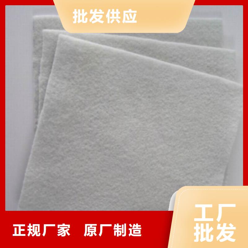 土工布三维土工网垫超产品在细节