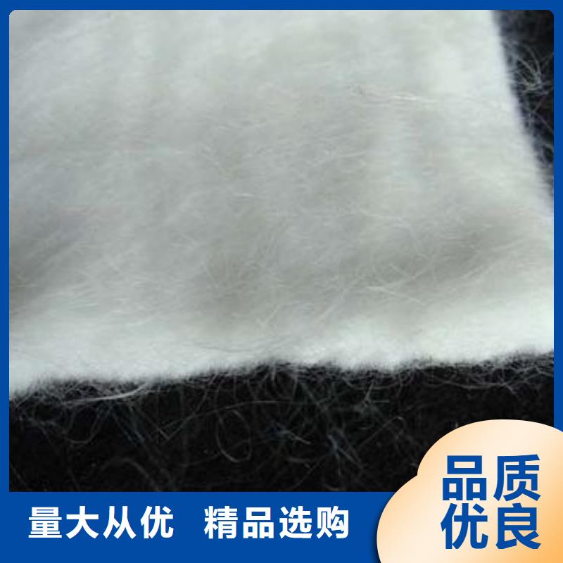 土工布复合土工膜颜色尺寸款式定制