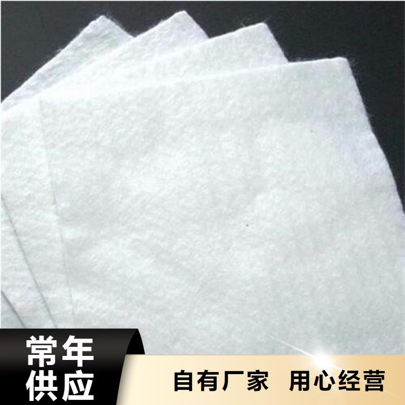 亿路通土工格室土工布 【塑料土工格栅】追求细节品质二八商务